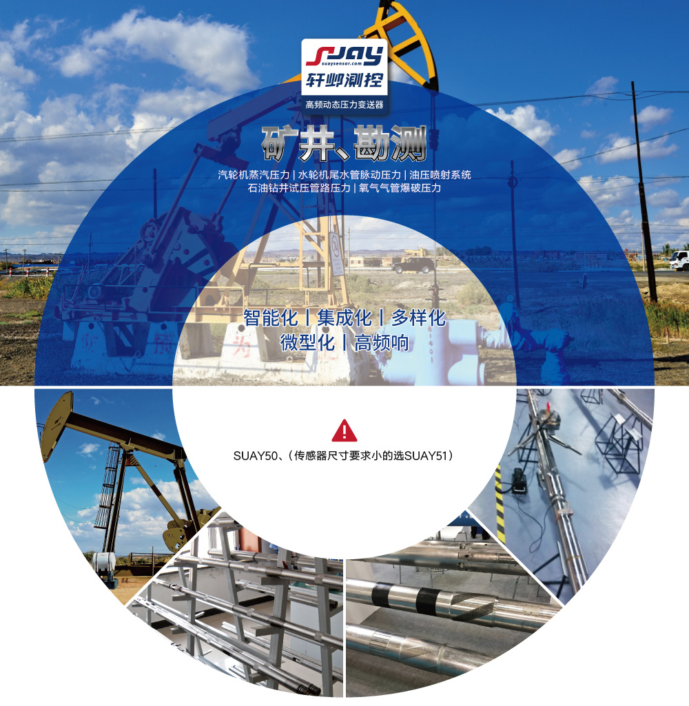 礦井勘測(cè)(汽輪機(jī)蒸汽、水輪機(jī)尾水管脈動(dòng)、油壓噴射系統(tǒng))